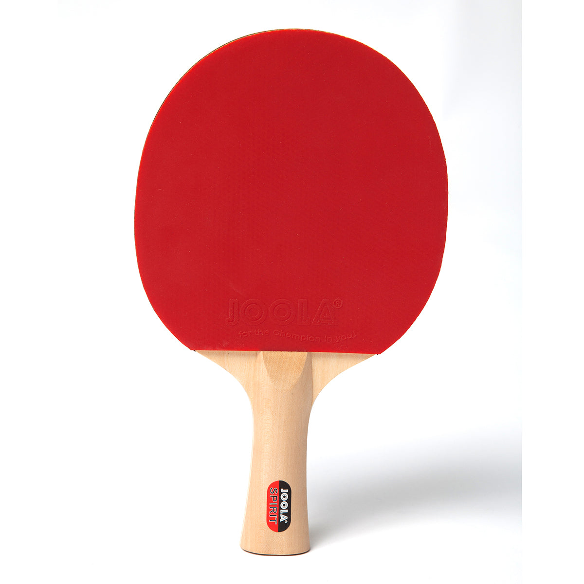 Joola Family Table Tennis Rackets Balls Set with Case complete starter kit in carrying case