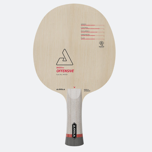JOOLA BASEline Offensive Table tennis racket with brand logo and text on a white background.