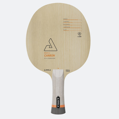 JOOLA Table tennis racket with wooden design and gray handle on a white background.